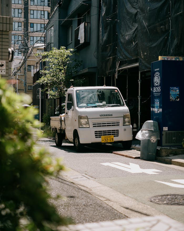 pexels photo 31418482.jpeg