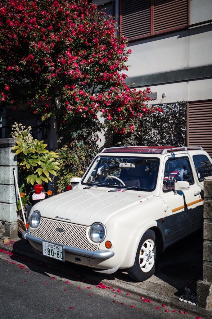 pexels photo 33120122.jpeg